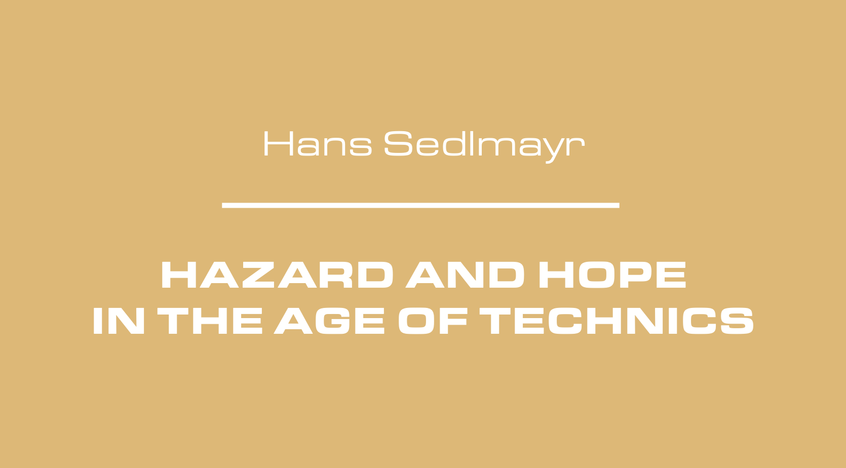 Book translation - Hazard and Hope in the Age of Technics